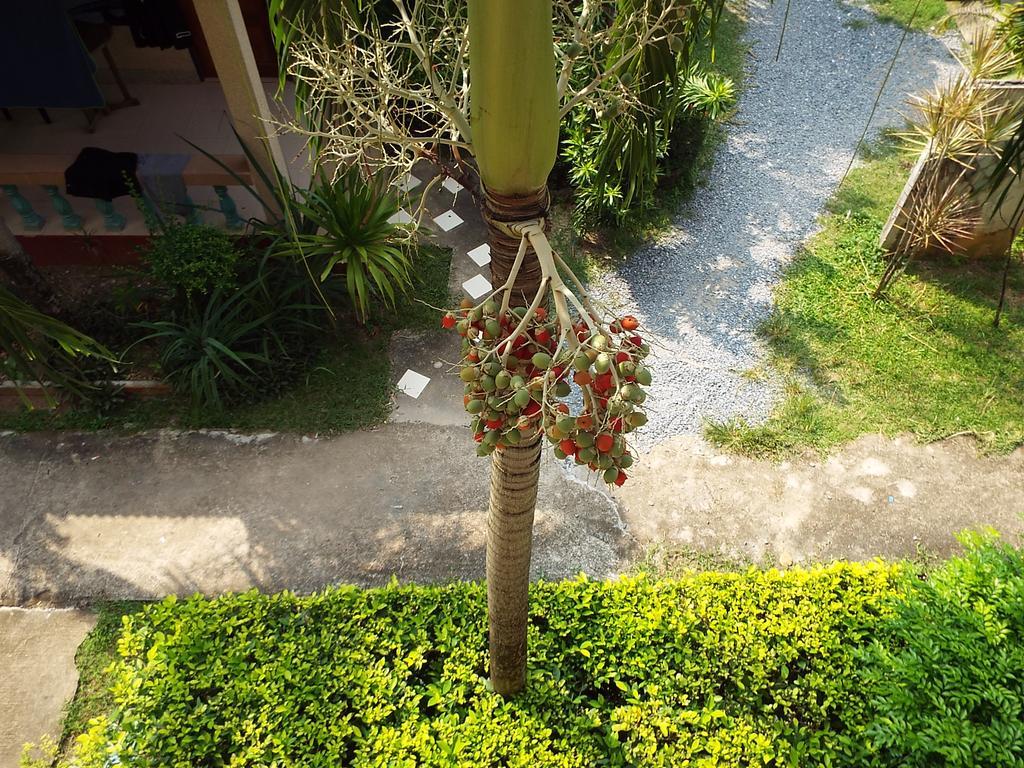 Lanta Riviera Villa Resort - Sha Certified Koh Lanta Bagian luar foto